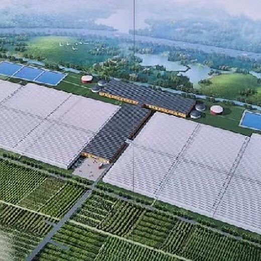连云港数字设施农业温室建造厂家骨架加工价格