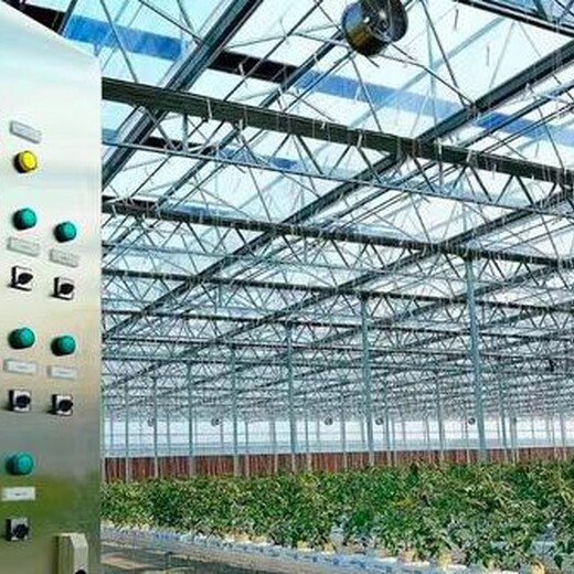 郑州蔬菜智能温室大棚建造