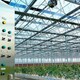 吐鲁番pc阳光板智能温室大棚新报价图
