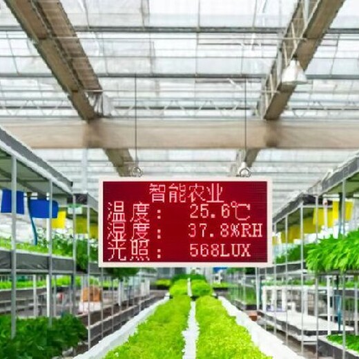 蚌埠数字设施农业温室大棚实体工厂