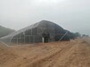 阿拉尔蔬菜日光温室大棚建造