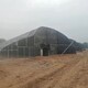 鹰潭pc阳光板日光温室大棚承建产品图