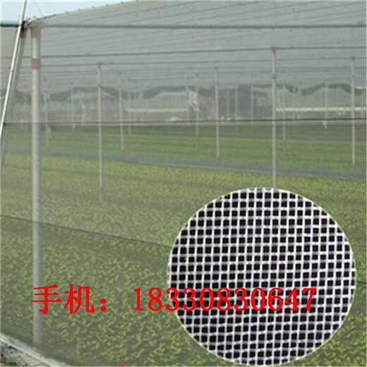 三門峽防蟲網窗紗廠家供應,果園豬場防蠅晾曬大棚網
