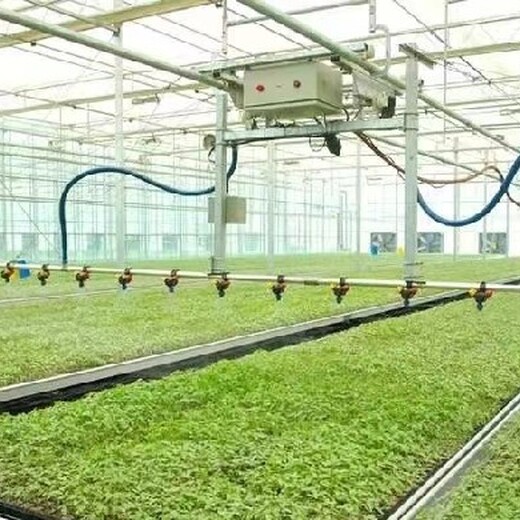 海南省直辖数字设施农业温室大棚厂家