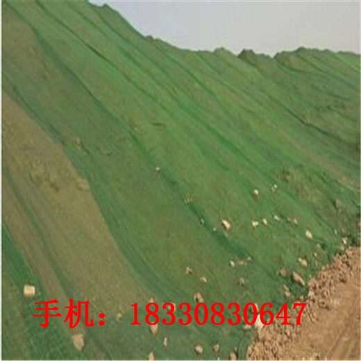 杭州盖土网厂家现货,工地绿化防尘网