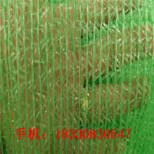 常州蓋土網(wǎng)廠家供應(yīng),環(huán)保蓋土用的綠網(wǎng)