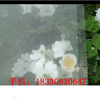 吐鲁番防虫网窗纱批发,防虫网