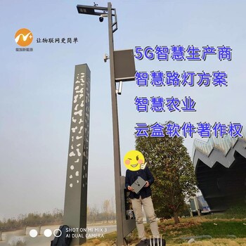 多功能智慧路燈廠家LED照明視頻監(jiān)控5G公共WIFI環(huán)境監(jiān)測汽車充電