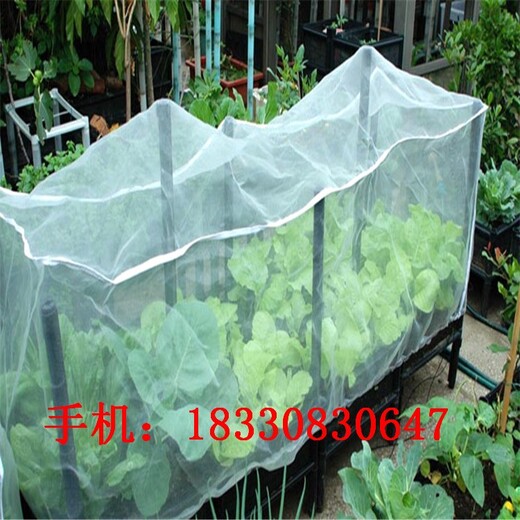 涼山防蟲網窗紗廠家供應,大棚防蟲網
