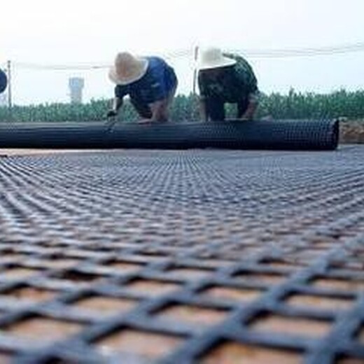 黑龙江钢塑土工格栅厂家地址,凸结点钢塑土工格栅厂家