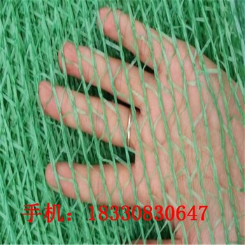 福州蓋土網(wǎng)用途,黑絲防塵網(wǎng)
