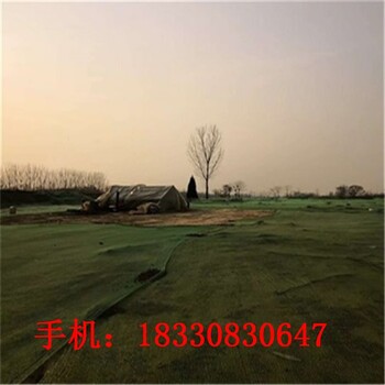 瀘州蓋土網(wǎng)廠家,扁絲蓋土遮陽網(wǎng)