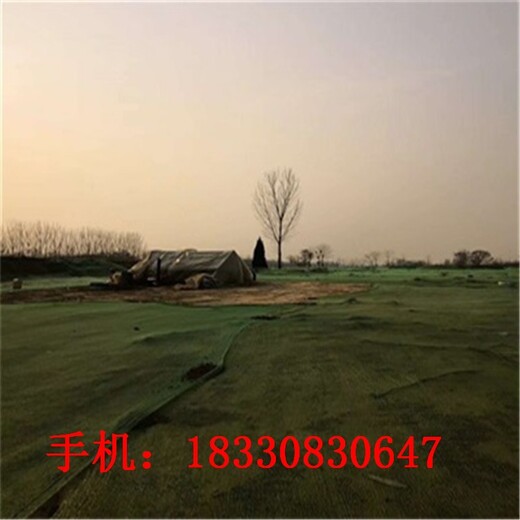 蓋土網(wǎng)規(guī)格,裸土覆蓋網(wǎng)