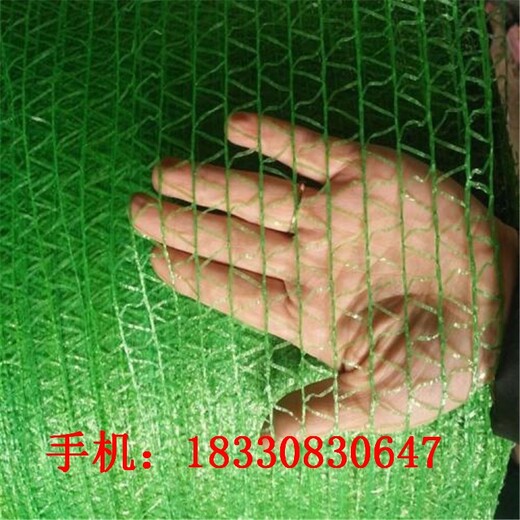 陽江蓋土網(wǎng)廠家現(xiàn)貨,工地蓋土網(wǎng)