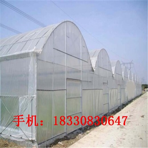 南陽防蟲網(wǎng)窗紗廠家報價,防蚊窗紗