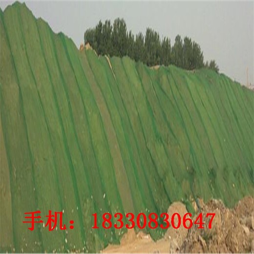 淮北盖土网厂家现货,环保盖土用的绿网