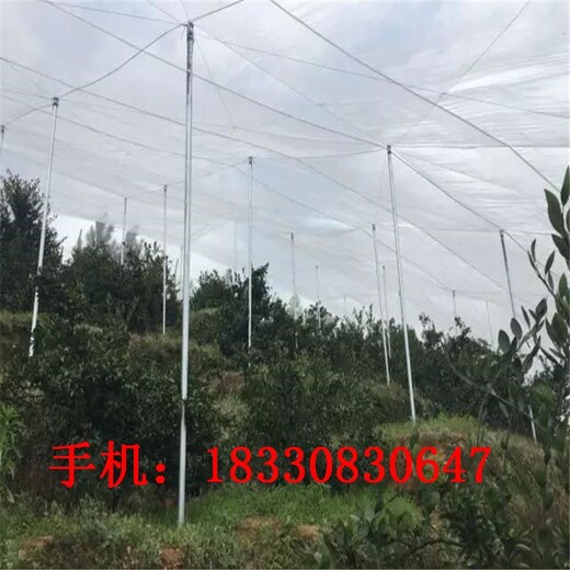 麗江防蟲網(wǎng)窗紗價(jià)格,防蟲網(wǎng)