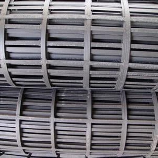天津钢塑土工格栅生产厂家,垂直绿化钢塑土工格栅厂家
