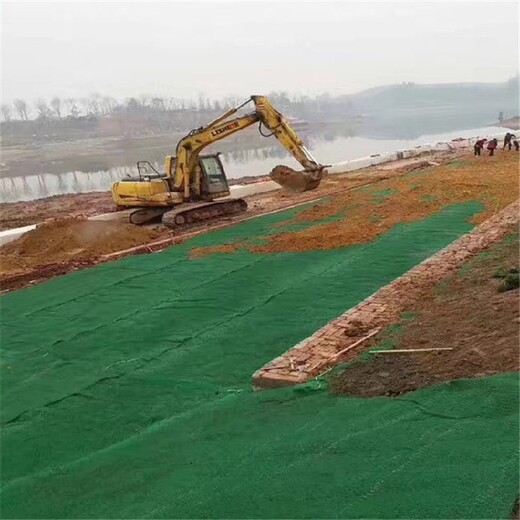广东生产三维植被网批发,护坡绿化拉伸土工网垫