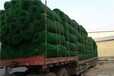 内蒙古生产三维植被网批发,护坡绿化拉伸土工网垫