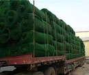 广安三维植被网厂家哪家做的,EM3绿色塑料三维网厂家图片