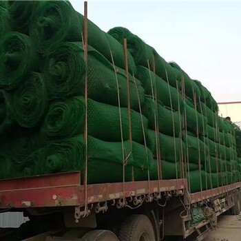 天津生产三维植被网厂家,EM3绿色塑料三维网