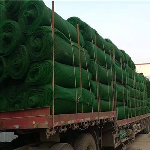 广安三维植被网厂家哪家做的,EM3绿色塑料三维网厂家