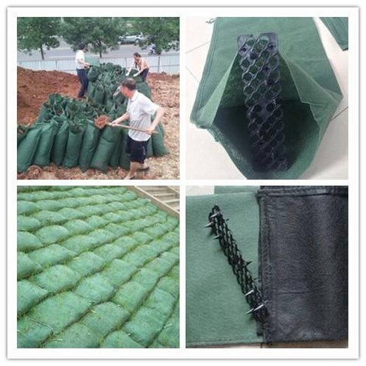 贵州生态袋公司,泰安润杰,园林绿化袋