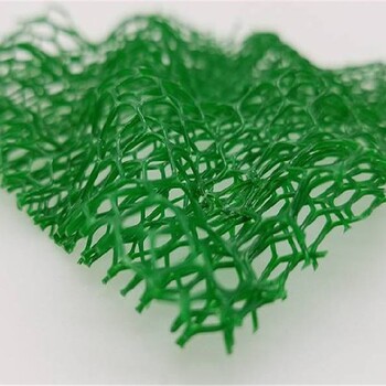 广东生产三维植被网公司,EM3绿色塑料三维网