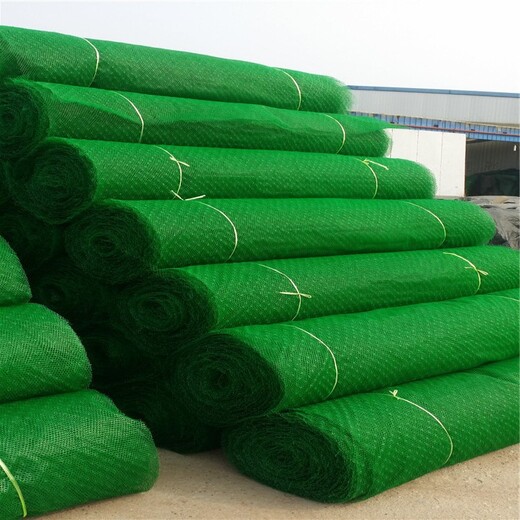 黑龙江生产三维植被网厂家批发价格,护坡绿化土工网垫