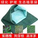 四川生态袋厂家批发价格,泰安润杰,聚丙烯生态袋