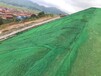 甘肃生产三维植被网厂家批发价格,护坡绿化土工网垫