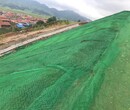 庆阳三维植被网厂家排名,护坡绿化土工网垫厂家图片