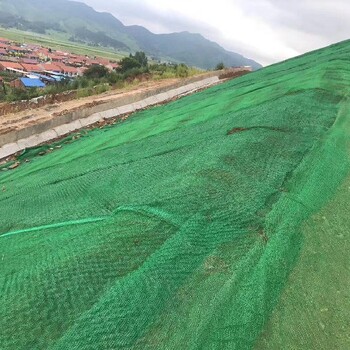 天津生产三维植被网价格_厂家,三维复合排水网