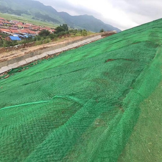 甘肅生產(chǎn)三維植被網(wǎng)廠家批發(fā)價格,護坡綠化土工網(wǎng)墊