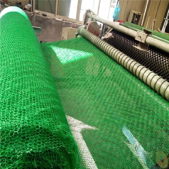 浙江生产三维植被网厂家,护坡植草EM3三维网