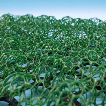 廣西生產三維植被網公司,EM3綠色塑料三維網