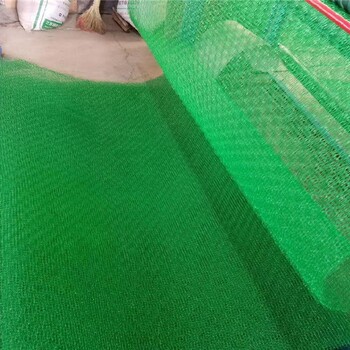 昌都三维植被网厂家批发价格,护坡绿化拉伸土工网垫厂家