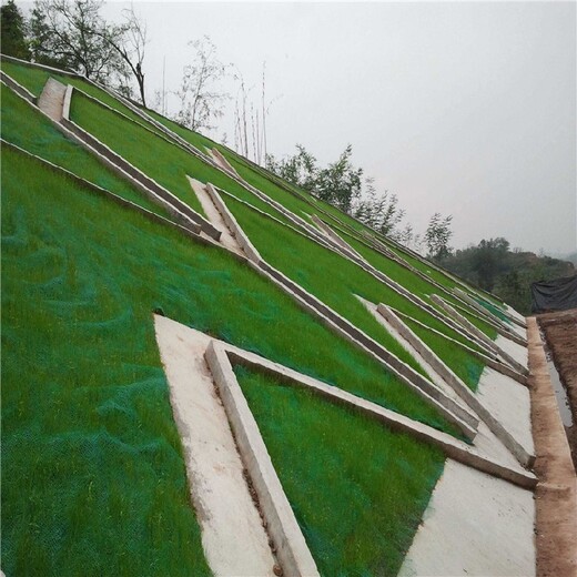西藏生产三维植被网公司,护坡绿化拉伸土工网垫