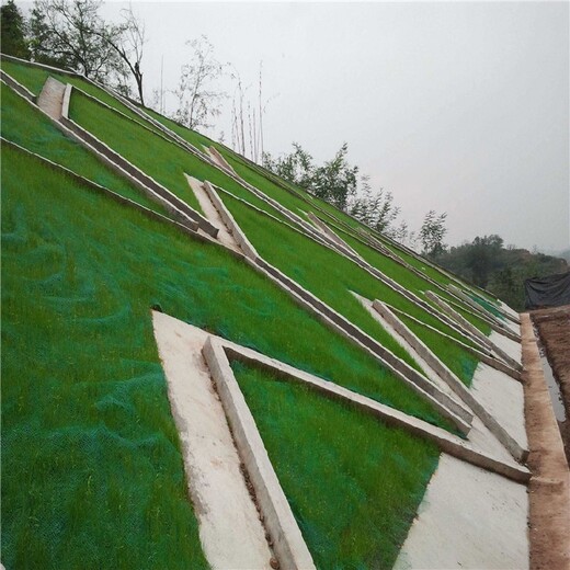 湖北生產(chǎn)三維植被網(wǎng)廠家,護(hù)坡植草EM3三維網(wǎng)