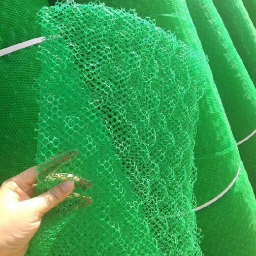江苏生产三维植被网价格_厂家,EM3绿色塑料三维网