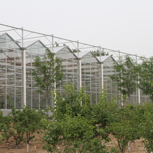 玉林花卉玻璃智能温室大棚设计规划