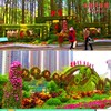 儀征市國慶綠雕設計公司,凈瀾天景觀,綠雕設計制作安裝