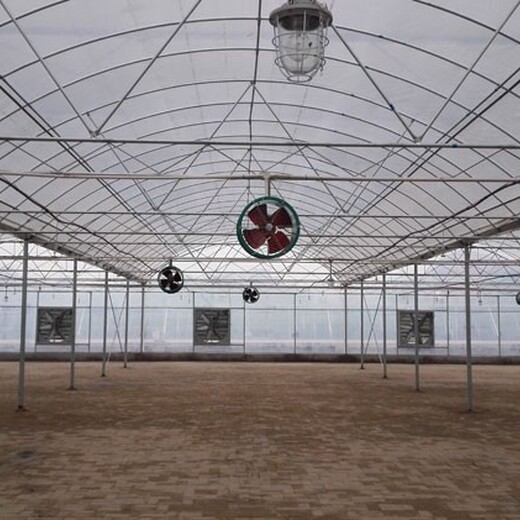 荆州薄膜种植温室大棚建造