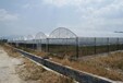潜江pc阳光板种植温室大棚建造