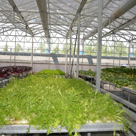 钦州果树种植温室大棚承建