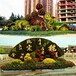 大宁县国庆绿雕在线咨询,净澜天景观,绿雕设计制作安装