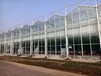 双鸭山玻璃温室大棚建造价格实体工厂