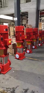 供應邊立式消防泵設備現場安裝圖片5