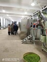 新款微波殺青機(jī)功能
